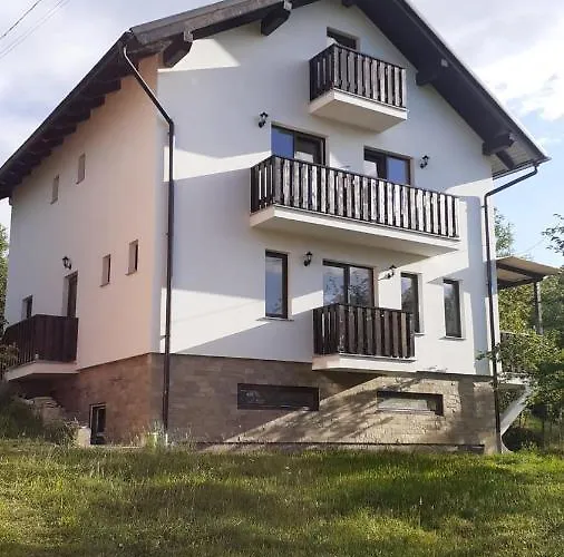 Vila Hojda Moisei